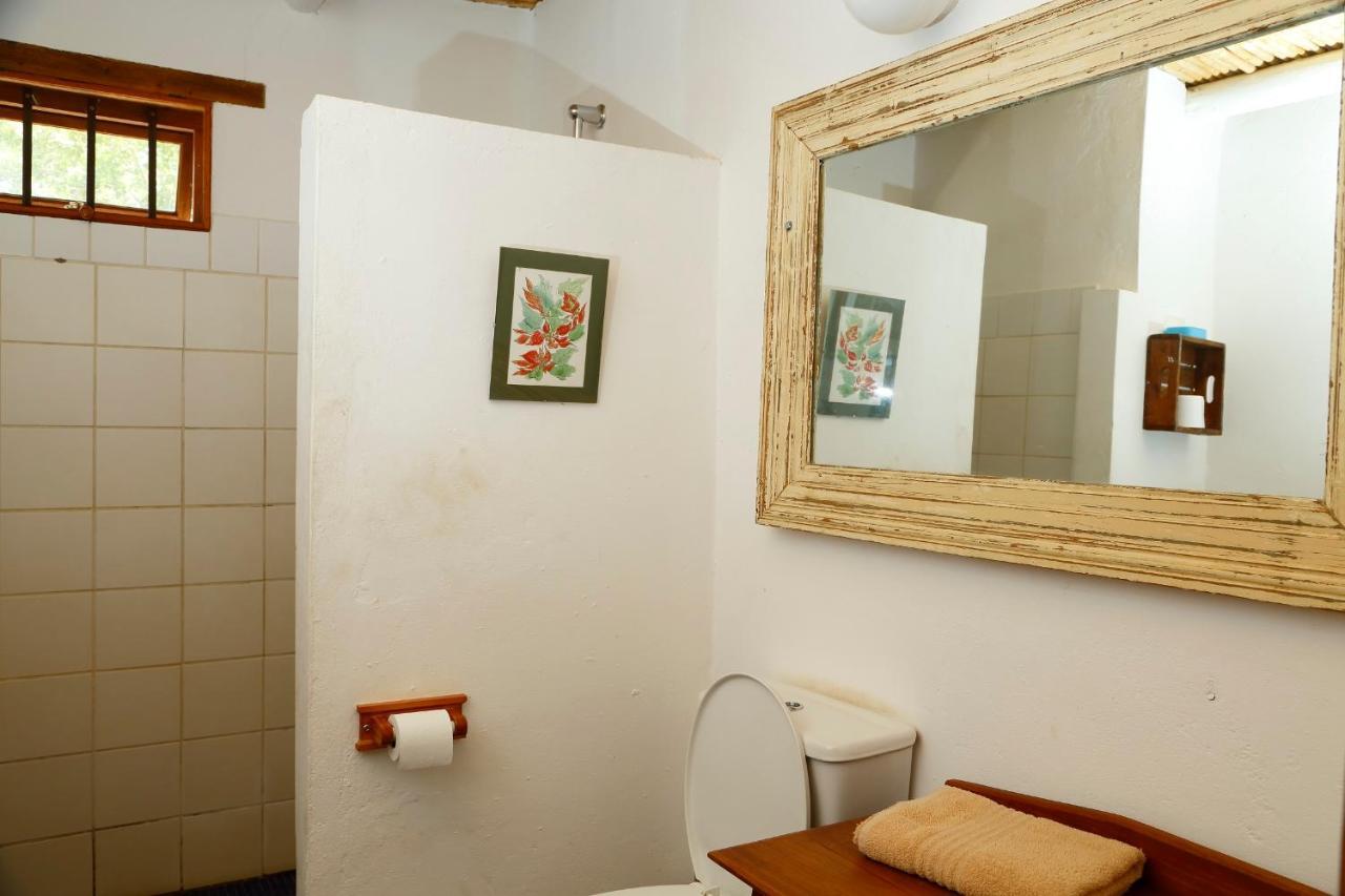 Aloe Guest House Prince Albert Eksteriør bilde